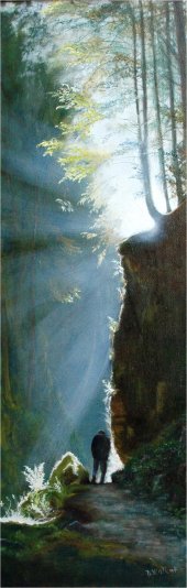 Puck's Glen - Early Morning